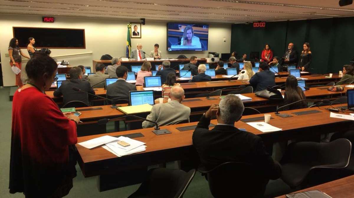 Comissão de Direitos Humanos da Câmara dos Deputados - Leonardo Aragão / CDHM