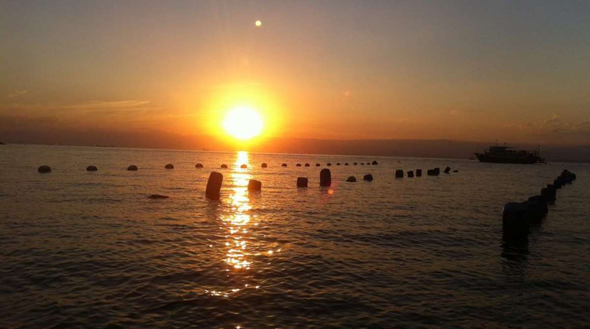 Coluna Vinho & etc -  Fazenda marinha em Angra dos Reis - Divulgaçãp
