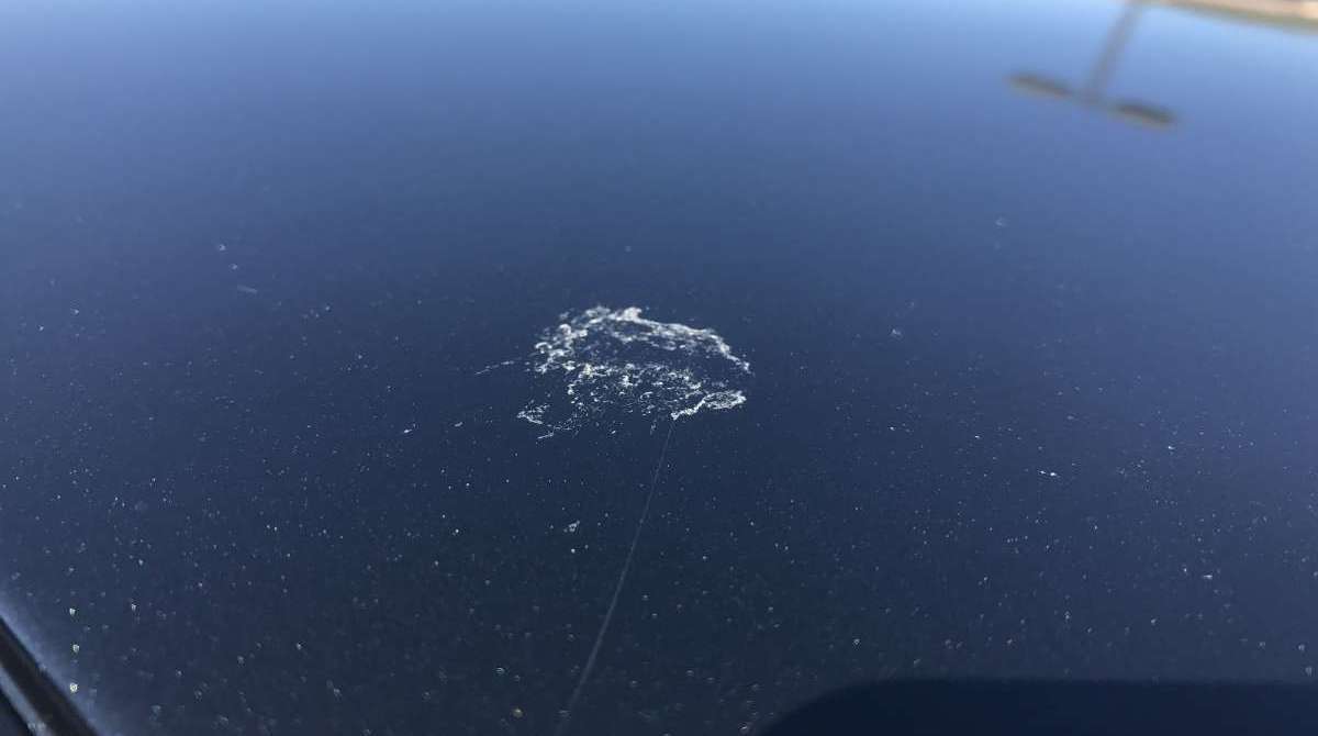 Usar panos de algodão e produtos com Ph neutro podem evitar o desgaste da pintura