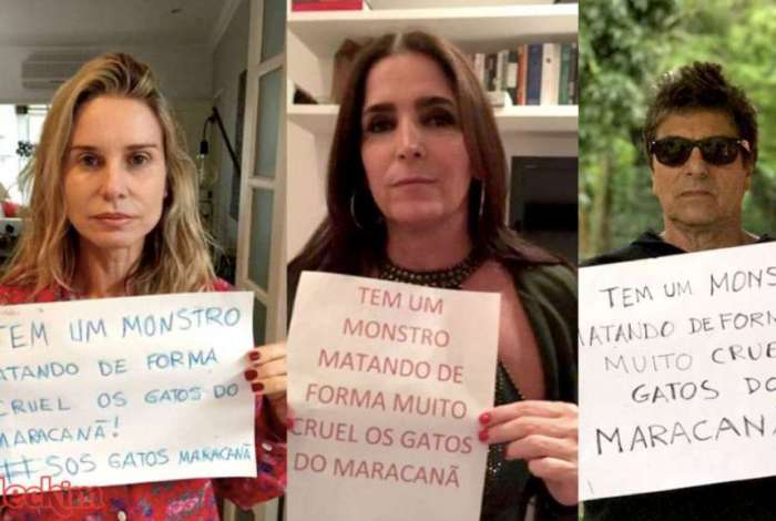 Artistas como Paula Burlamaqui, Malu Mader e Evandro Mesquita entraram na campanha SOS Gatos do Maracan