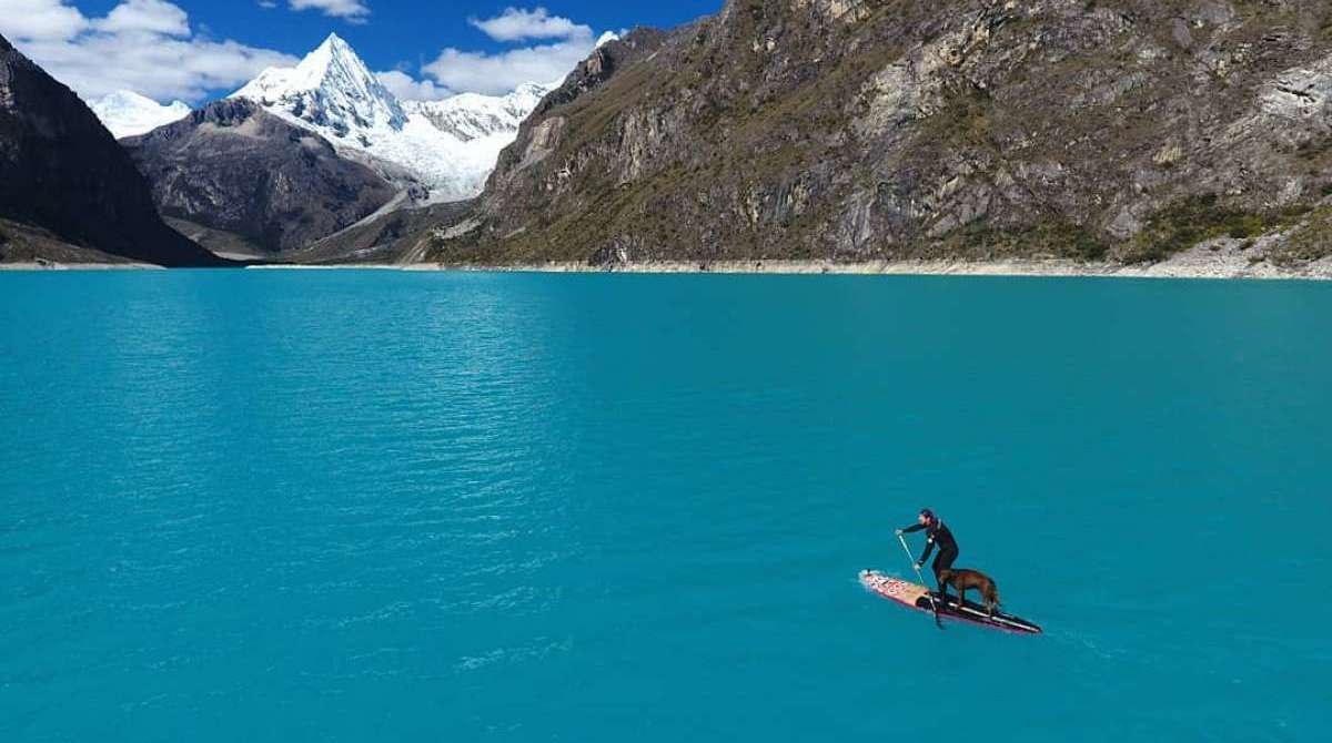 Bono vai ao veterinário duas vezes por ano e Ivan garante que ele nunca teve problemas de saúde