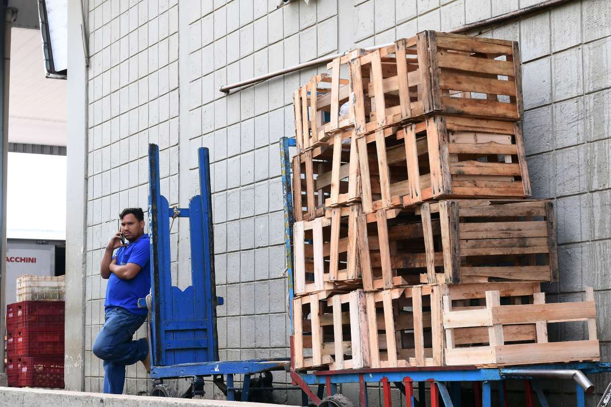 Greve dos caminhoneiros afetou abastecimento de alimentos ao redor do país
