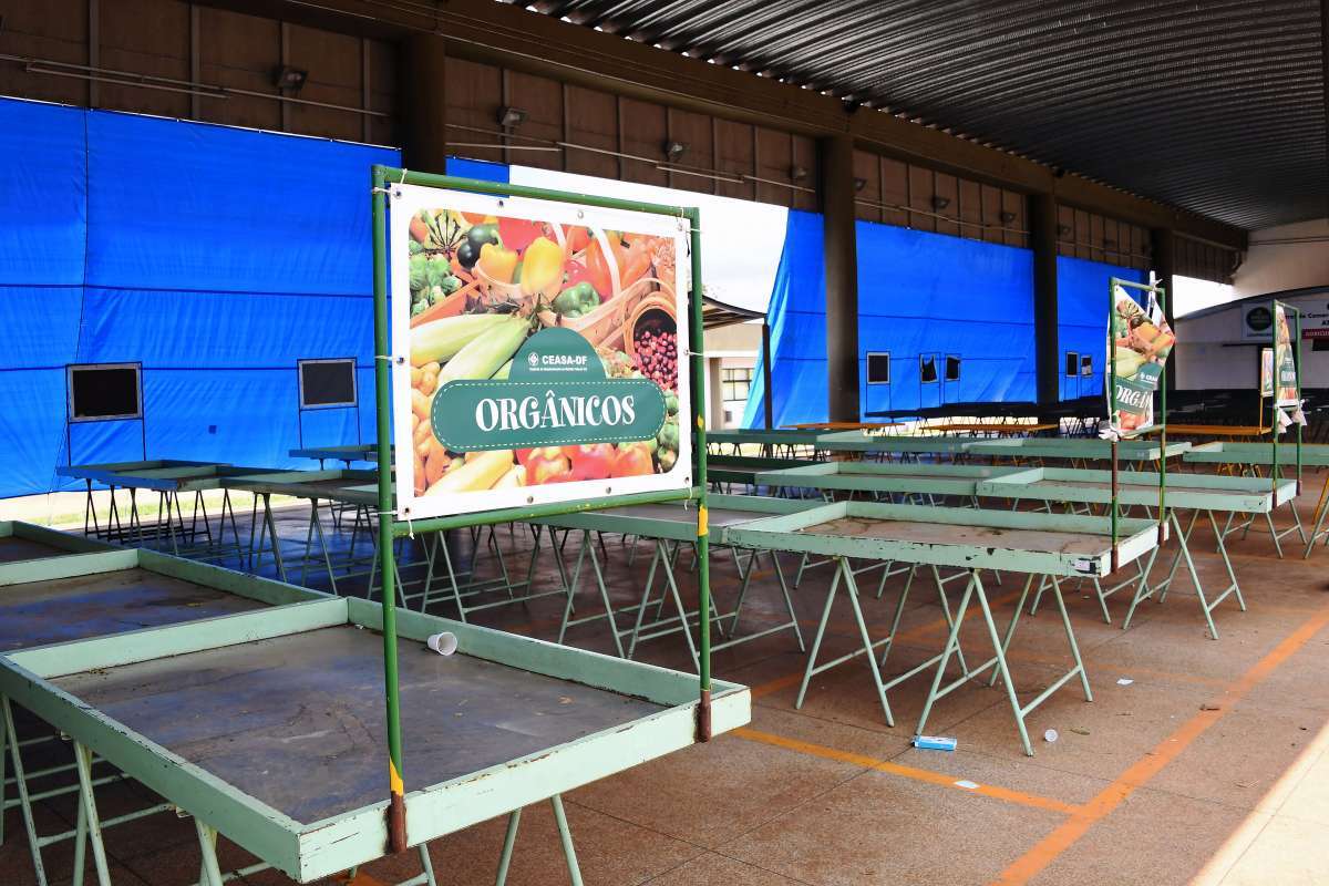 Greve dos caminhoneiros afetou abastecimento de alimentos ao redor do país