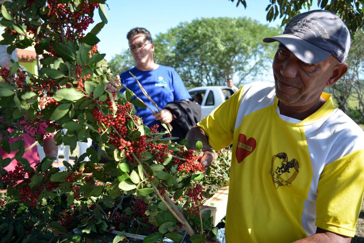 Centro de Beneficiamento Primário da Aroeira é inaugurado em São Pedro da Aldeia