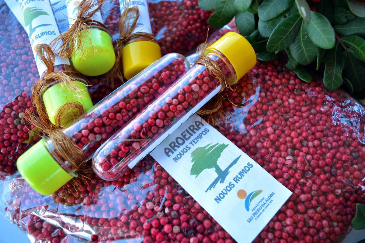 Centro de Beneficiamento Primário da Aroeira é inaugurado em São Pedro da Aldeia - Divulgação