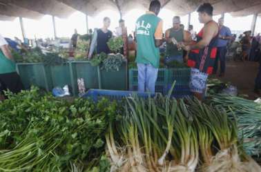 Preço de hortaliças sobe em outubro no atacado, diz Conab