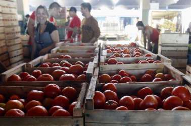 Tomate, cenoura e alface sofreram aumento de mais de 50% em algumas regiões do país, aponta Conab