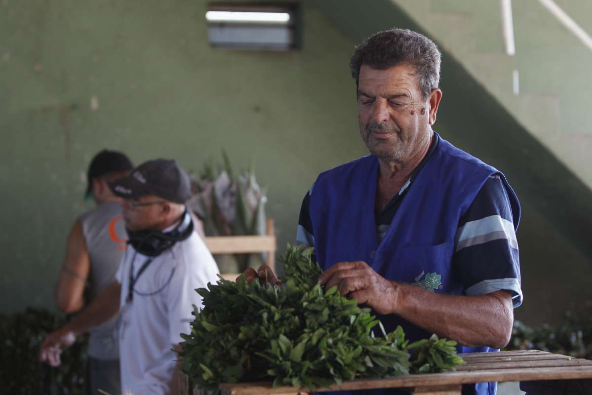 Alguns produtos chegando a ceasa,  Central de abastecimento do Rio de Janeiro, mas a maoiria dos Box continuam fechados Foto  Severino  Silva Agencia O Dia