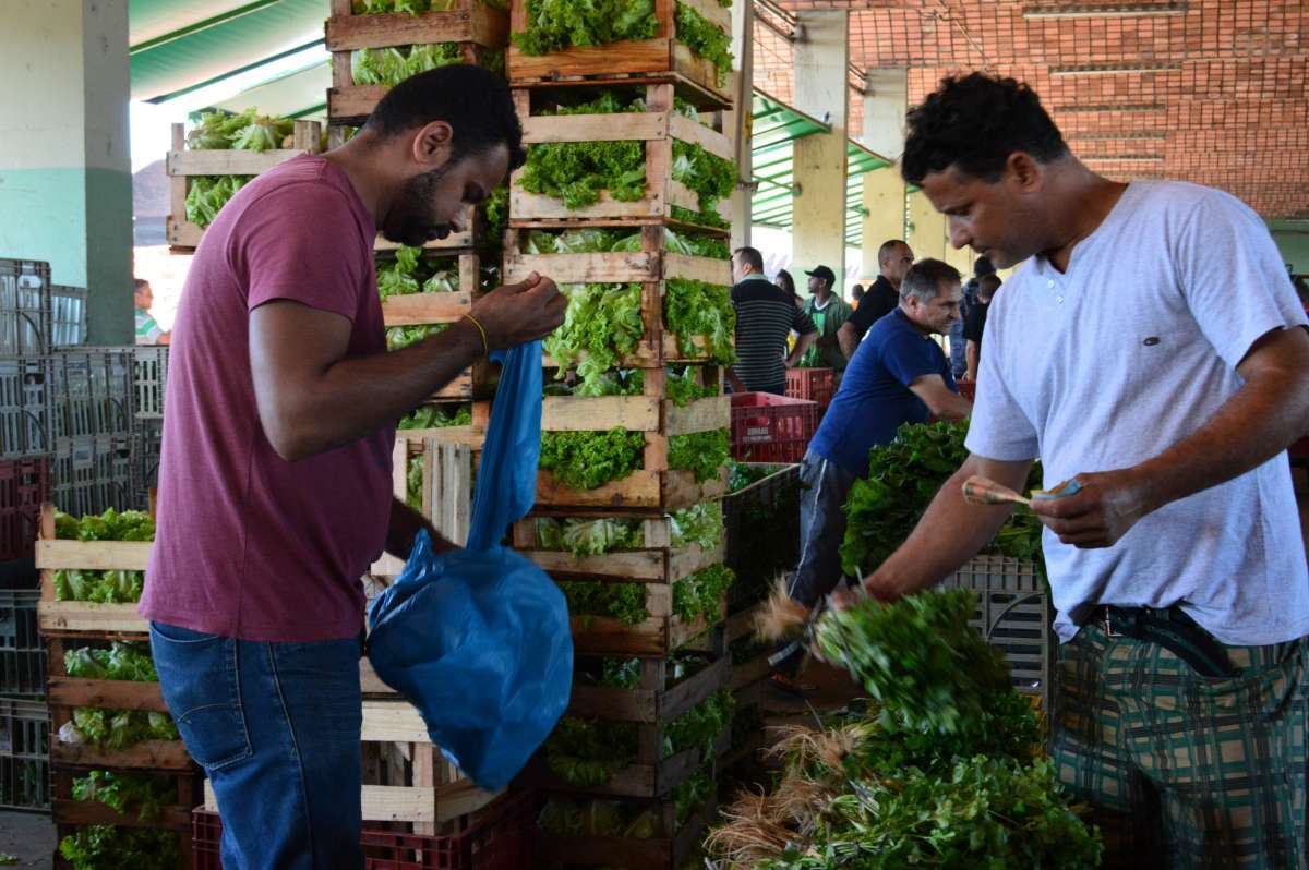AG&Ecirc;NCIA DE NOT&Iacute;CIAS/PARCEIRO - A Central de Abastecimento do Estado do Rio (Ceasa-RJ), em Iraj&aacute;, na Zona Norte do Rio, volta a comercializar verduras e legumes em geral que estavam em falta nos &uacute;ltimos dias, devido &agrave; greve dos caminhoneiros. Foto: Paulo Carneiro/Parceiro/Ag&ecirc;ncia O Dia