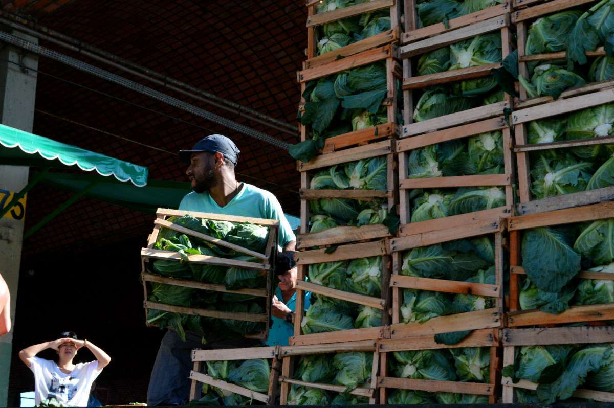 AG&Ecirc;NCIA DE NOT&Iacute;CIAS/PARCEIRO - A Central de Abastecimento do Estado do Rio (Ceasa-RJ), em Iraj&aacute;, na Zona Norte do Rio, volta a comercializar verduras e legumes em geral que estavam em falta nos &uacute;ltimos dias, devido &agrave; greve dos caminhoneiros. Foto: Paulo Carneiro/Parceiro/Ag&ecirc;ncia O Dia
