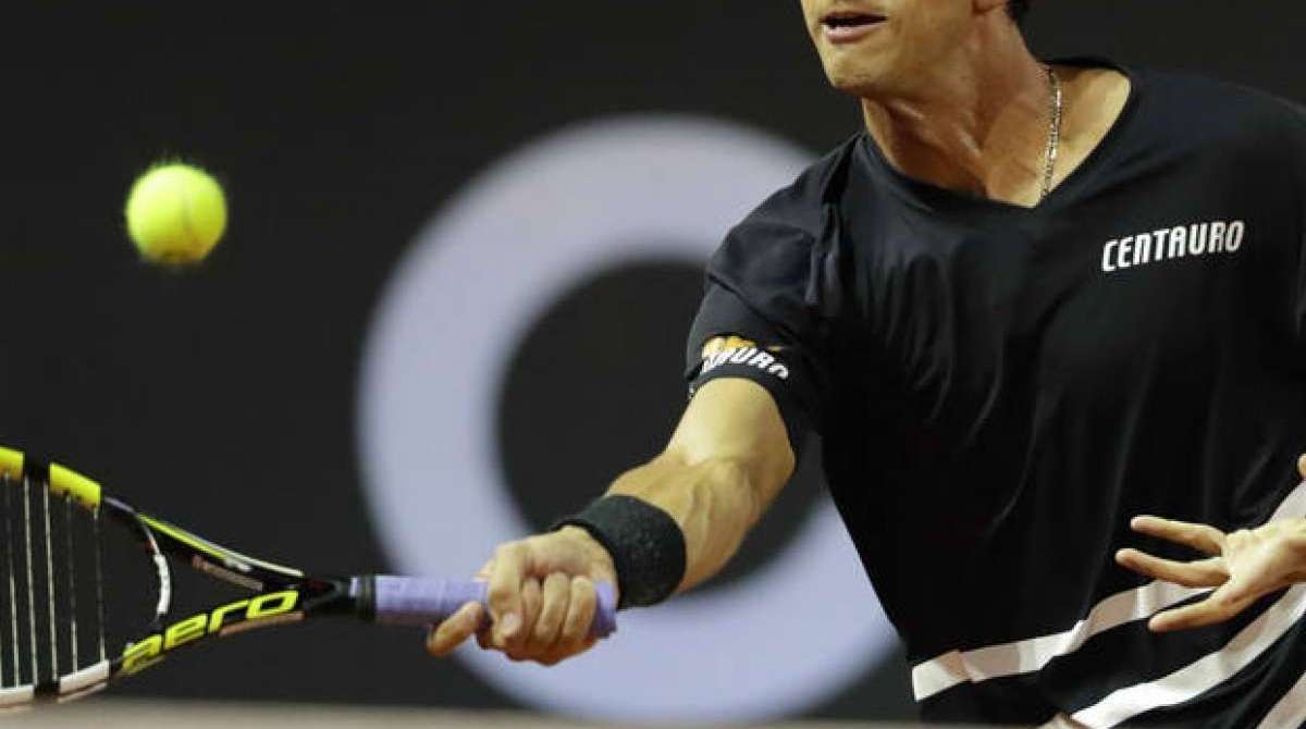 Marcelo Melo - Reprodu&ccedil;&atilde;o