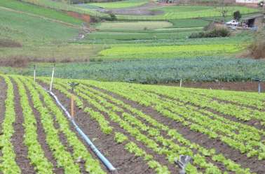 Pacote de medidas da OMC busca combater a fome no mundo