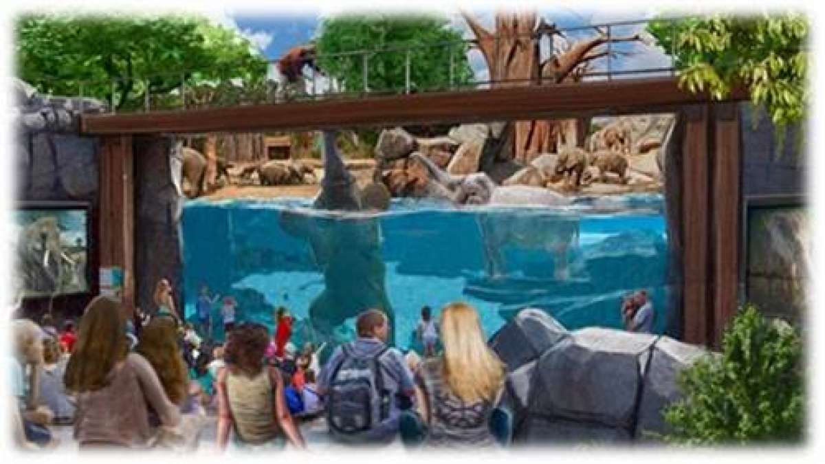 Na Biosfera dos Elefantes o acesso dos visitantes será por meio de túneis e aquários - Imagens ilustrativas/Divulgação