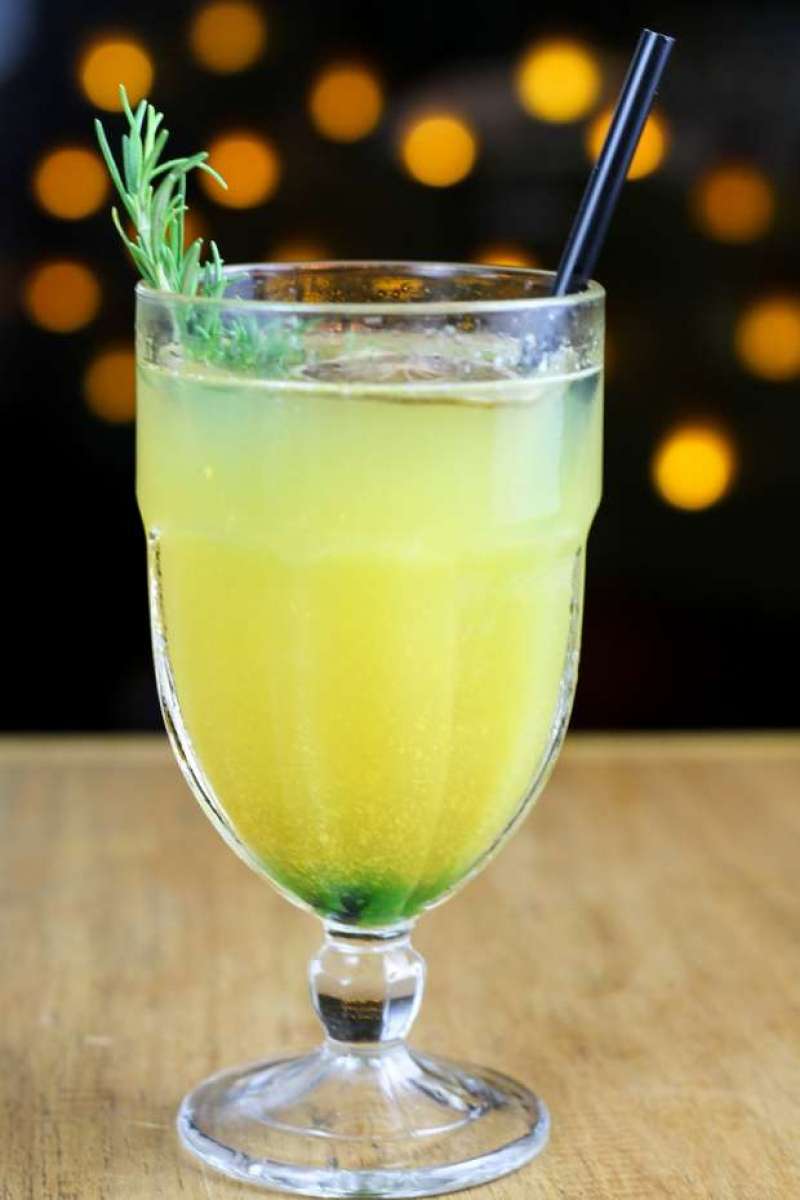 Tangerina e a escolha do Cattleya Restobar Latino