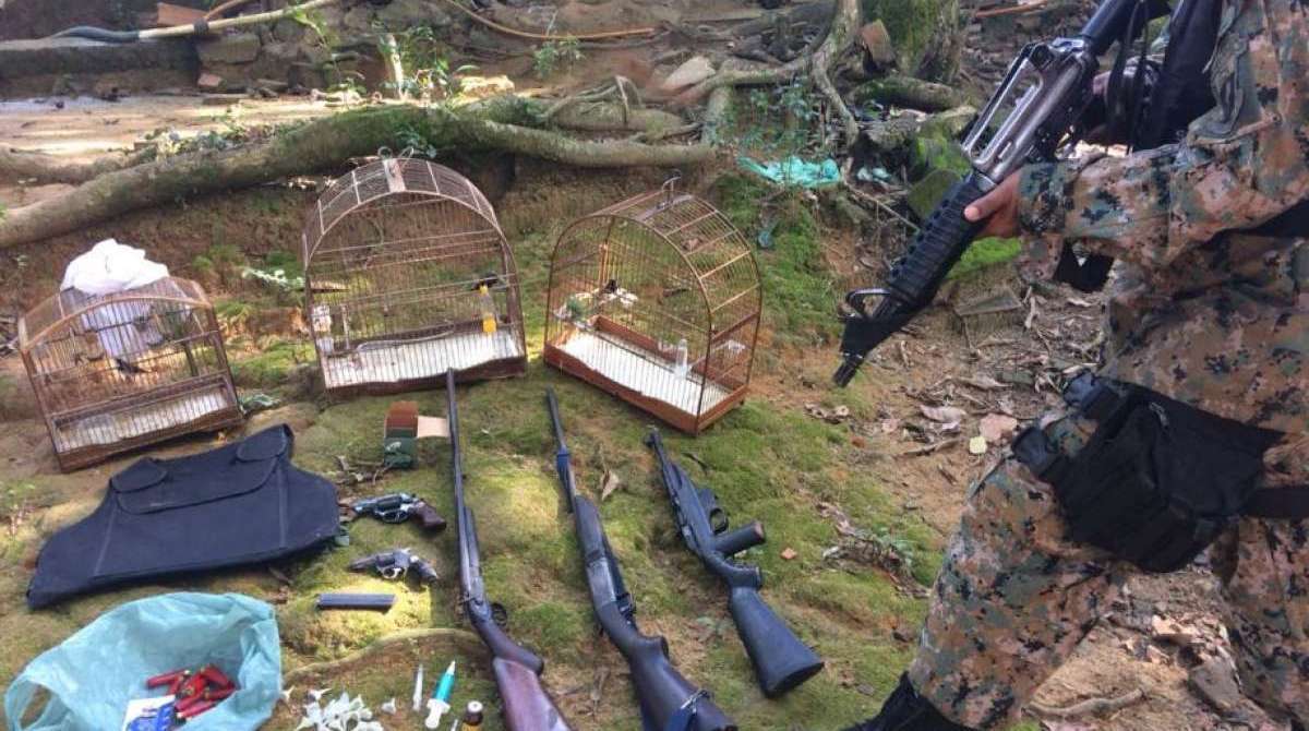 Armas e material apreendidos