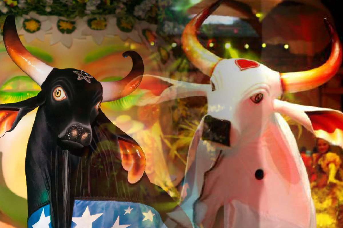 Bois Caprichoso e Garantido: símbolos de festa e tradição em Parintins