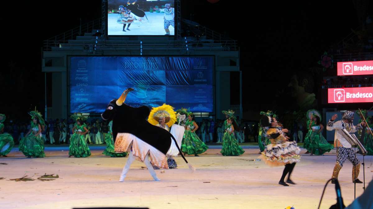 Milhares de pessoas cantaram e vibraram ao som da marujada do Boi Caprichoso no primeiro dia do Festival Folclórico de Parintins