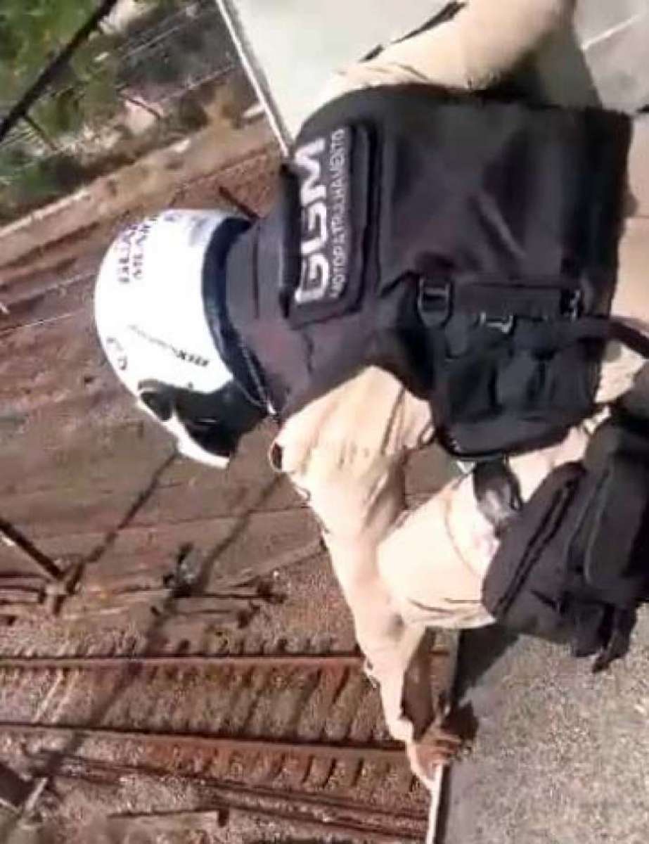 Guarda tenta impedir que assaltante se jogue - Reprodução / Internet