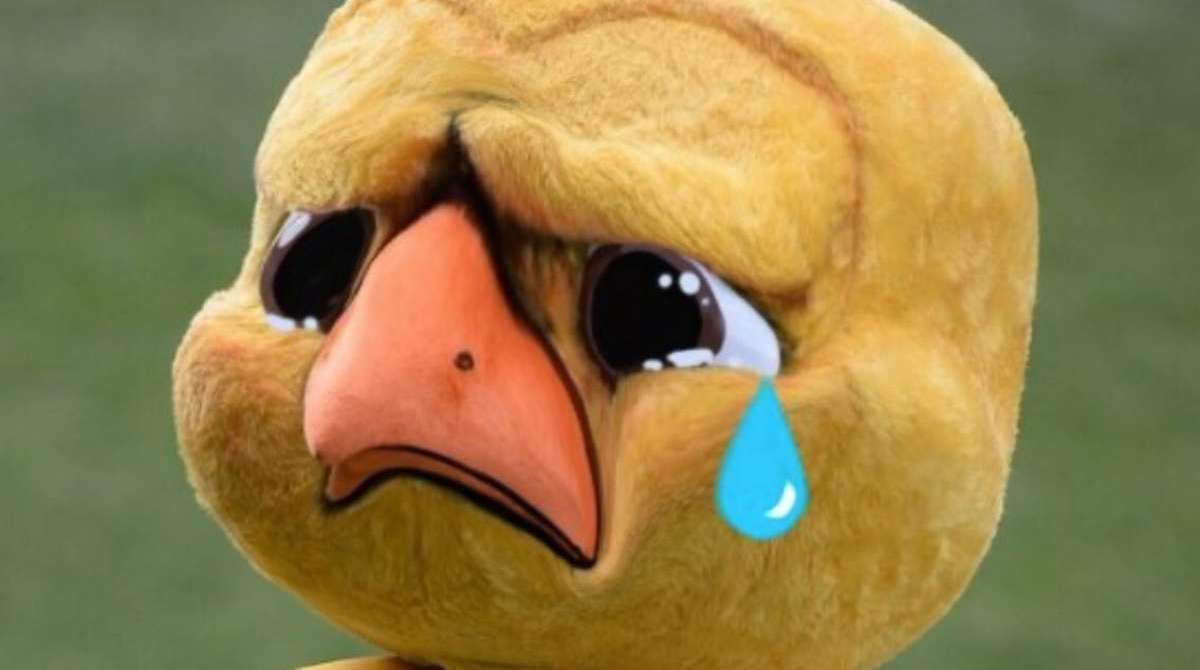 Eliminação da seleção brasileira rendeu memes na Internet