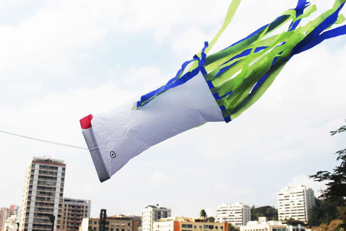 Aprenda a fazer o peixe chinês, tipo pipa - Luísa Bousada