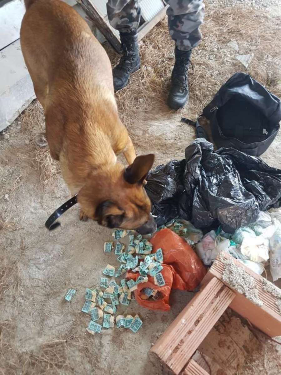 Polícia prende um homem e apreende armas e drogas nas comunidades do Rola e Antares, em Santa Cruz, na Zona Oeste do Rio. Região vive uma disputa territorial entre traficante e milicianos, que recomeçou na última sexta