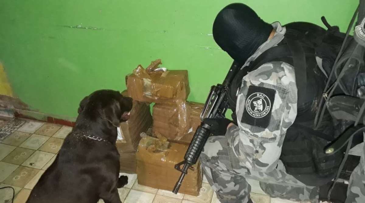 Na manhã desta sexta-feira (3/8), equipes do Batalhão de Ações com Cães (BAC) realizaram uma ação de varredura na comunidade do Antares e encontraram cerca de 100 quilos de maconha embalada.
Ocorrências encaminhadas à 36ª DP.