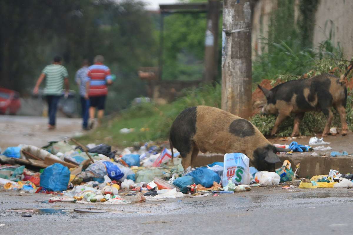 Redes aéreas de energia. Light. Local: Nova Iguaçu, RJ. Foto: Daniel Castelo Branco / Agência O Dia