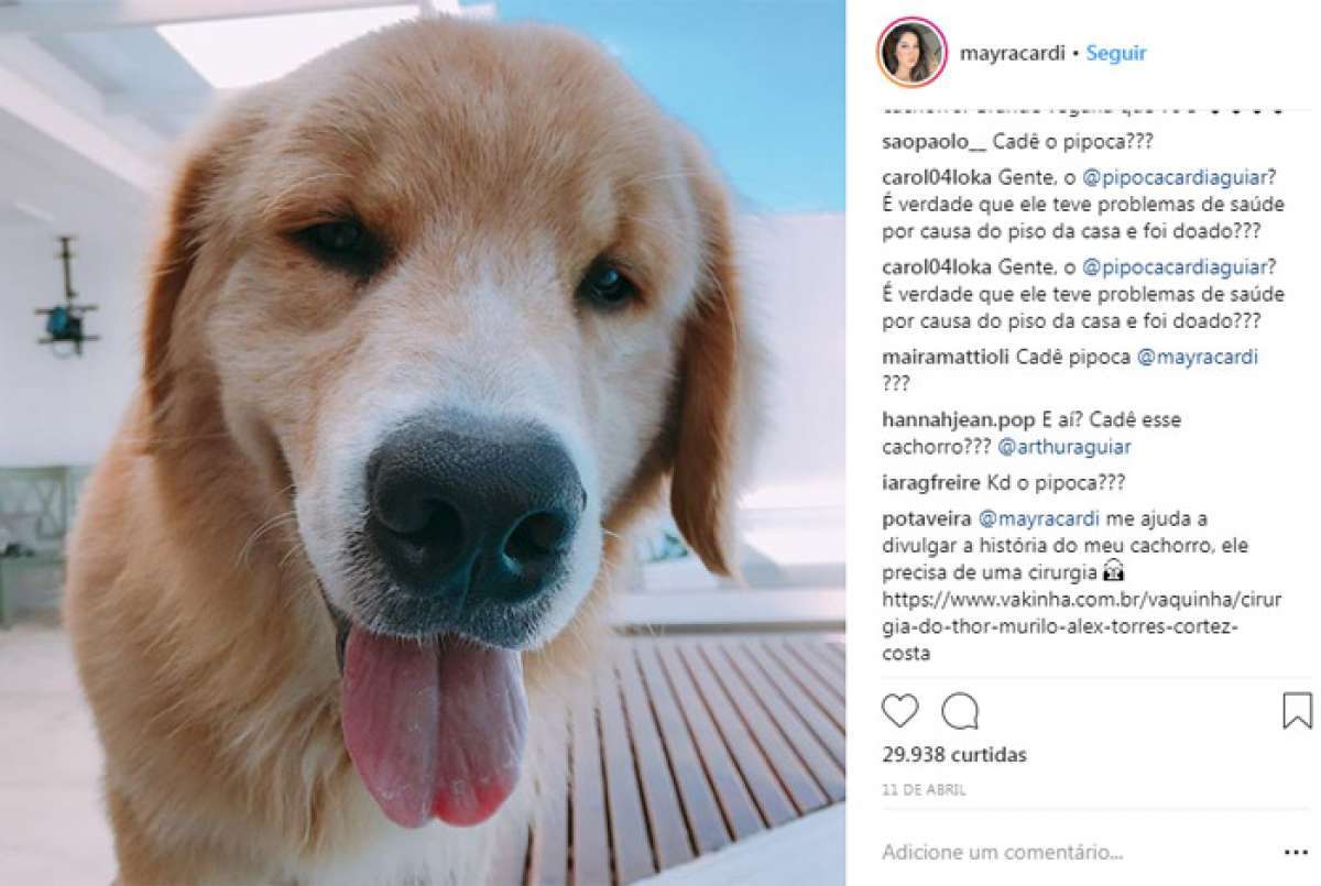 Internautas questionam ex-BBB Mayra Cardi sobre o paradeiro de Pipoca