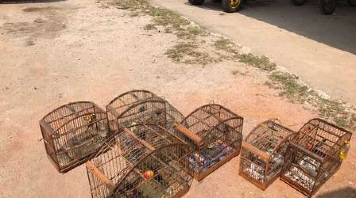 Poço artesiano usado para exploração ilegal de recursos hídricos 