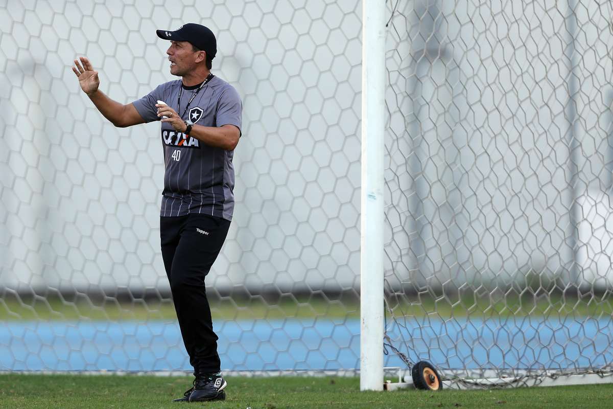 Botafogo de Z&eacute; Ricardo est&aacute; perto do Z-4 do Brasileir&atilde;o - Vitor Silva / SSPress / Botafogo