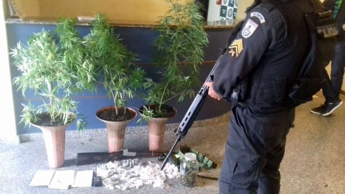 Foram encontrados três pés de maconha encontrados com o criminoso