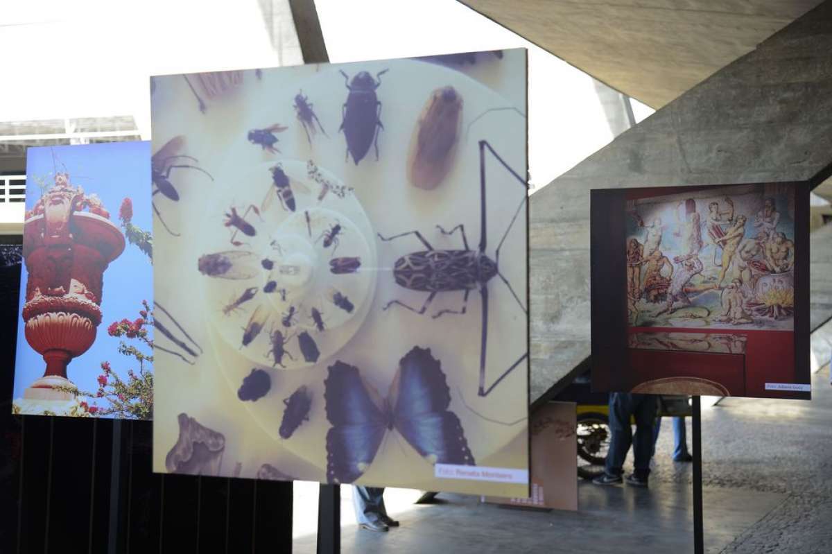 Homenagem do faz parte da Semana de Design no Museu de Arte Moderna