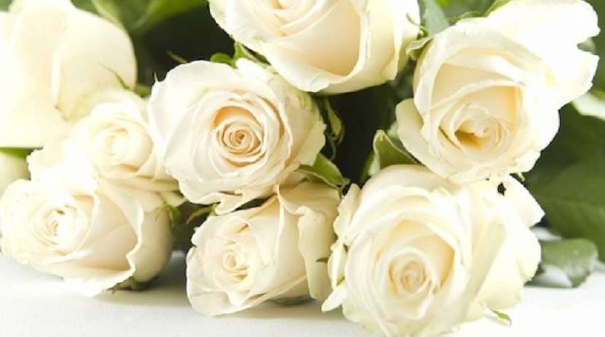 simpatia, rosa branca