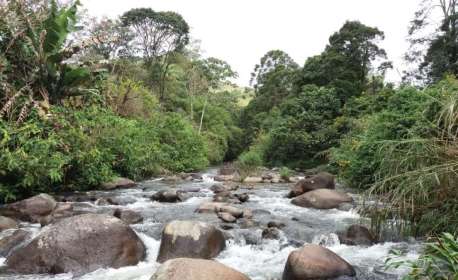 Descubra 5 destinos alternativos na Serra da Mantiqueira para serem explorados