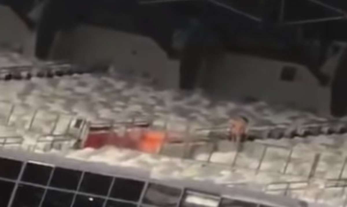 Casal é flagrado fazendo sexo no Mineirão