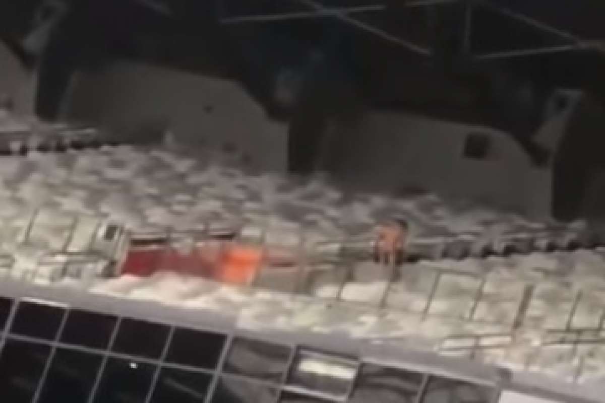 Casal é flagrado fazendo sexo no Mineirão