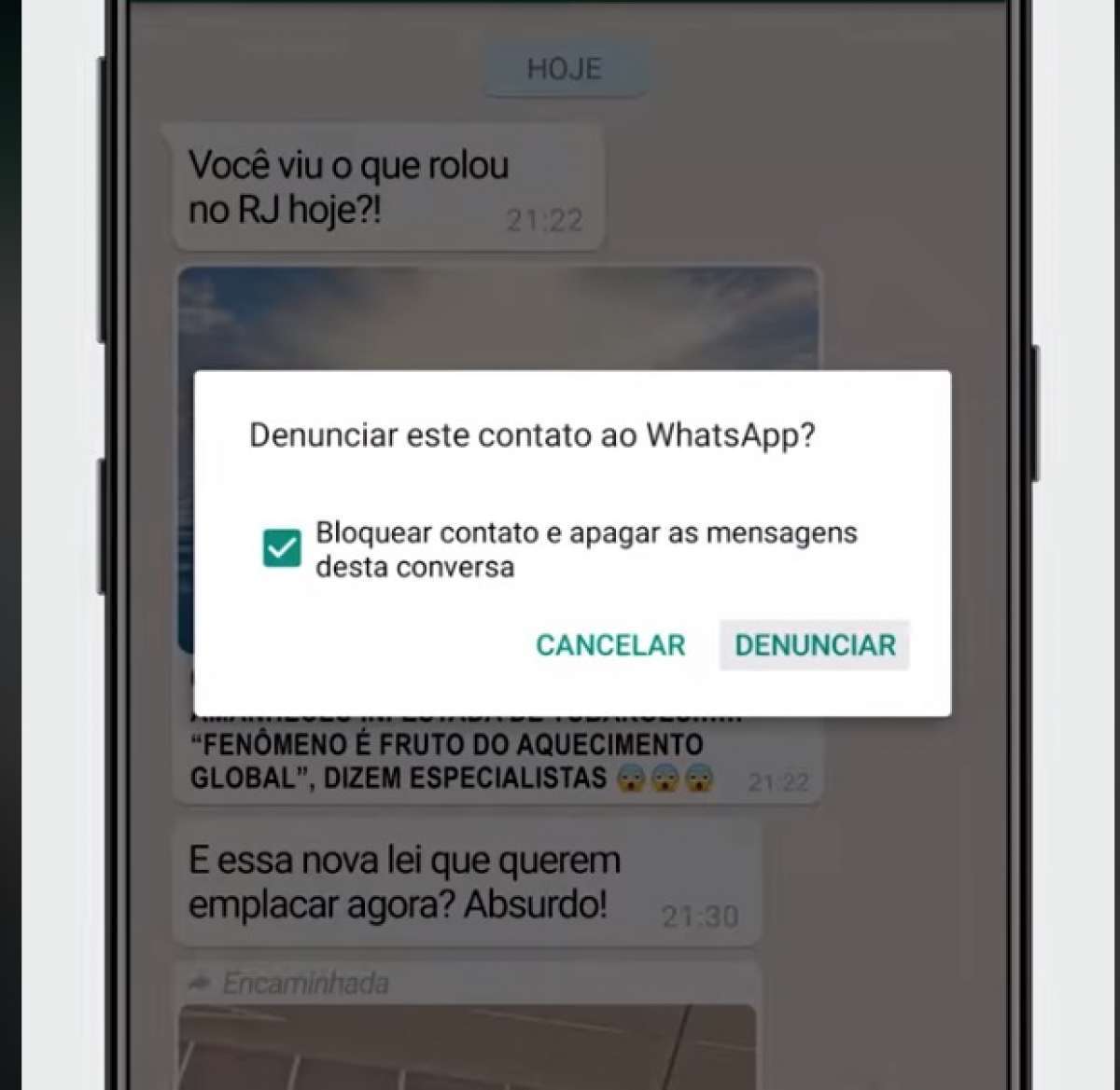 Whatsapp Divulga Tutorial Para Denunciar Emissores De Notícias Falsas E