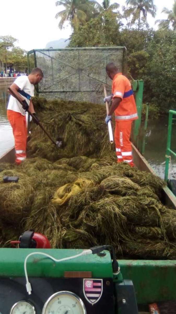 Comlurb trabalha na retirada de algas da Lagoa Rodrigo de Freitas