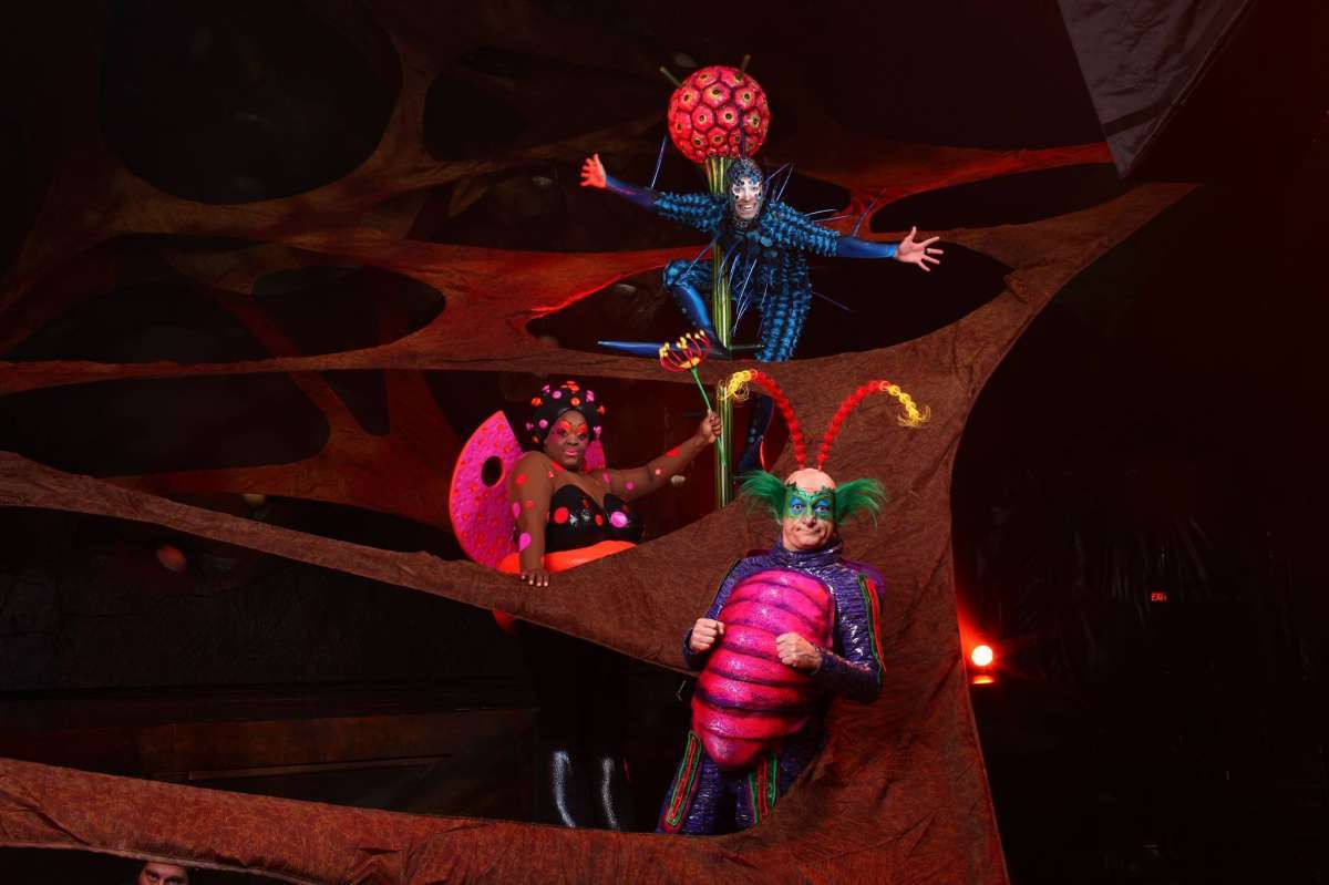 Performance do Cirque Du Soleil