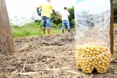 IGC eleva projeção da safra global de grãos de 2024/25 para 2,306 bilhões de t