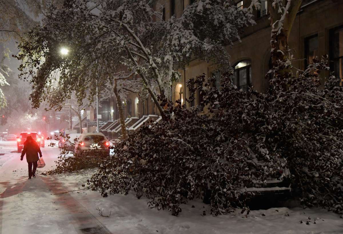 Tempestade De Neve Atinge Leste Dos Eua Promove Caos Em Ny E Deixa 8 Mortos Mundo E Ciência 7643