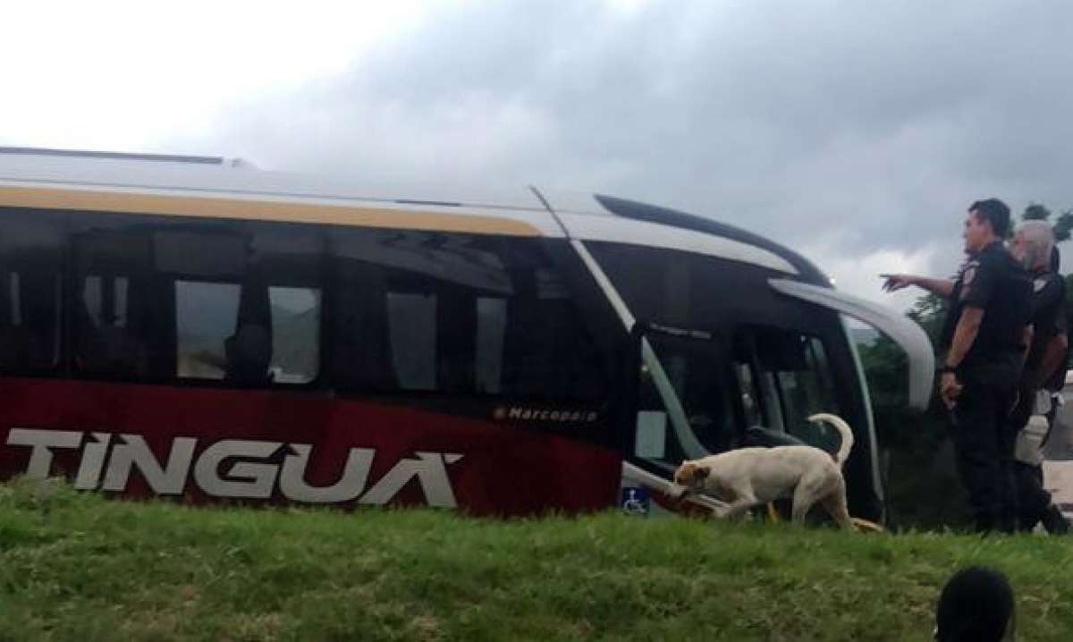 O motorista que morreu era da Transportadora Tinguá