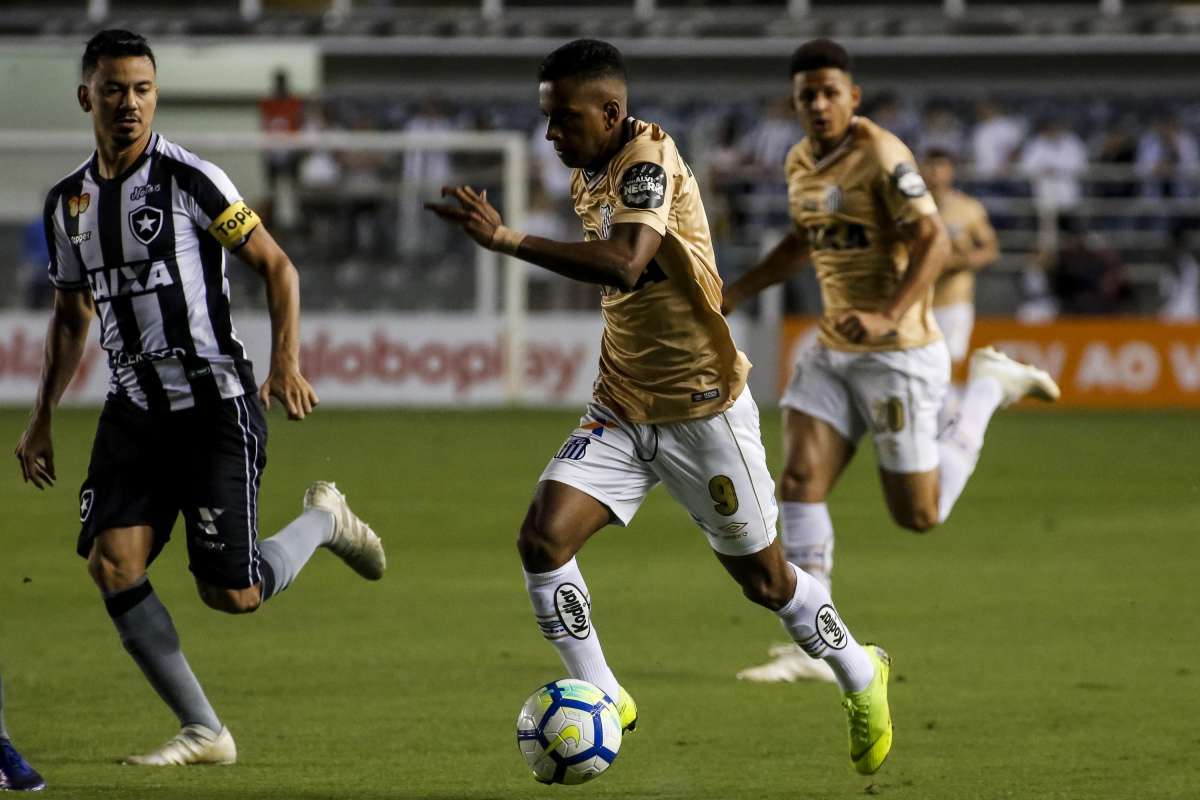 Botafogo empatou com o Santos -  Rodrigo Gazzanel/Parceiro/Ag&ecirc;ncia O Dia