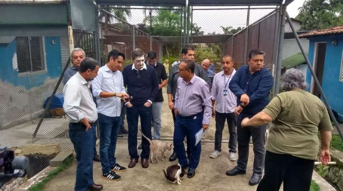 Fazenda Modelo abriga e trata cerca de 600 animais - Divulgação / Prefeitura do Rio