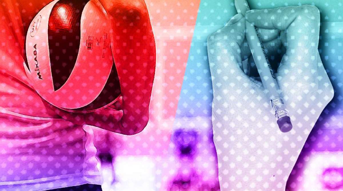 opniao 28 nov de 2018