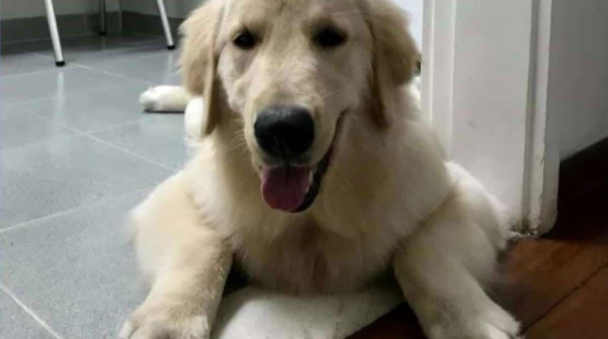 Mel foi levada por bandidos após grupo assaltar carro em São Gonçalo - Reprodução/Facebook