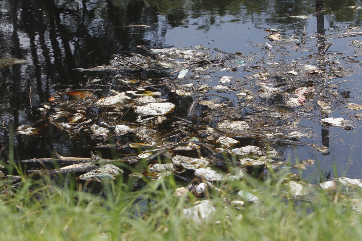 Delegacia do Meio Ambiente com apoio da Core[-cordenadoria de recursos especiais da policia civil fizeram uma opera??o para apurar denuncia que uma empresa que opera retirando gaz do antigo lix?o de Jardim Gramacho Baixada Fluminense estaria jogando chorume[residuo do lixo na Baia da Guanabara.
 Severino  Silva Agencia O Dia