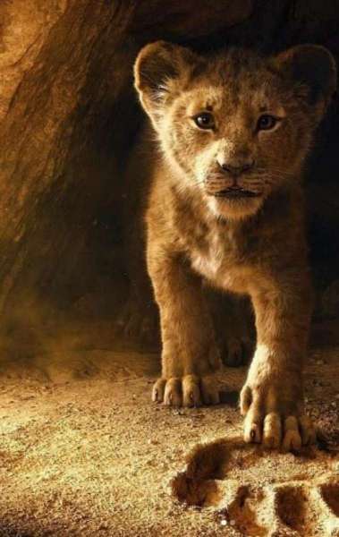 'Rei Le&atilde;o' teve remake em live action - Reprodu&ccedil;&atilde;o da internet