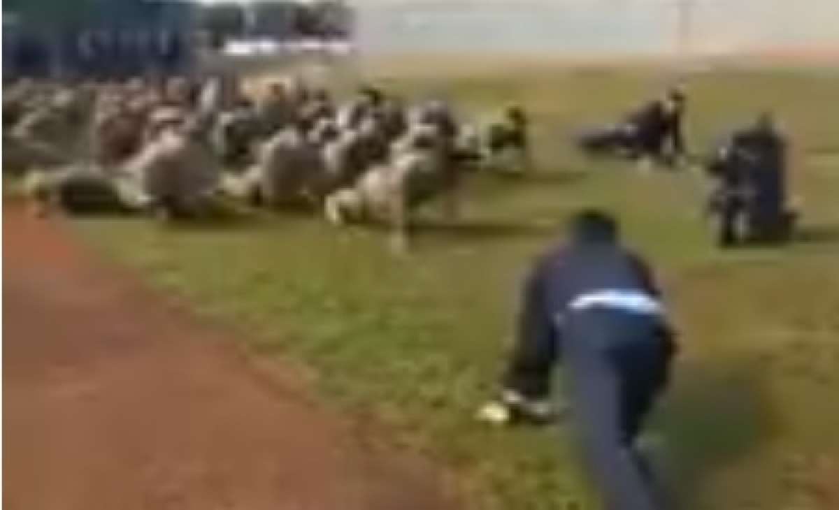 Presidente eleito, Jair Bolsonaro, acompanhou o treinamento dos policiais do Comando de Operações Táticas da Polícia Federal - Reprodução