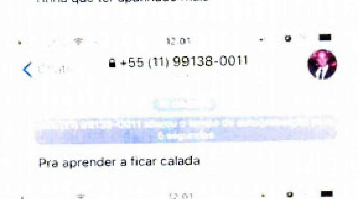 Mensagens que o deputado teria enviado para a jornalista